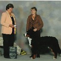 Best of Winners